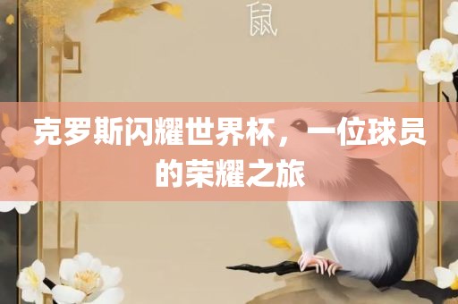 克罗斯闪耀世界杯，一位球员的荣耀之旅洪湖市顺升工程机械租赁有限公司