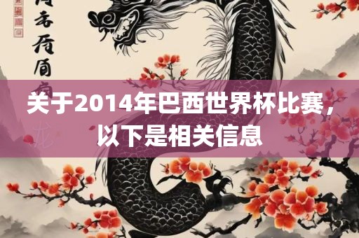 关于2014年巴西世界杯比赛，以下是相关信息