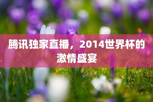腾讯独洪湖市顺升工程机械租赁有限公司家直播，2014世界杯的激情盛宴