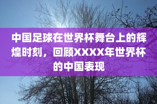 中国足球在世界杯舞台上的辉煌时刻，回顾XXXX年世界杯的中国表现