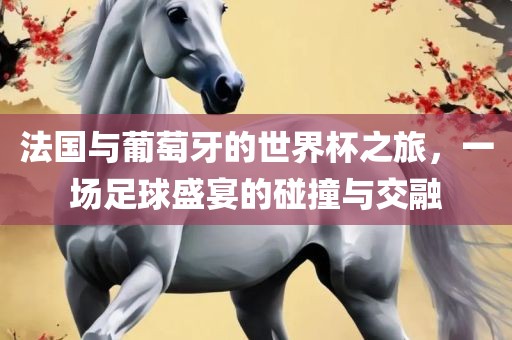 法国与葡萄牙的世界杯之旅，一场足球盛宴的碰撞与交融洪湖市顺升工程机械租赁有限公司