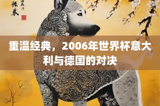 重温经典，2006年世界杯意大利与德国的对决