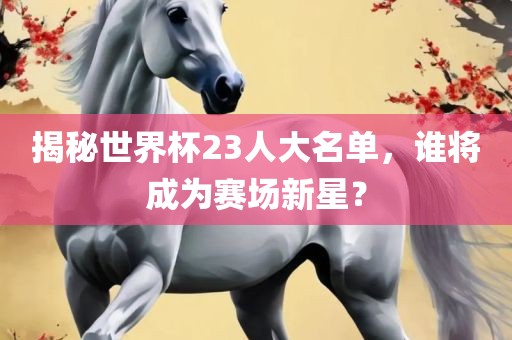 揭秘世界杯23人大名单，谁将成为赛场新星？洪湖市顺升工程机械租赁有限公司