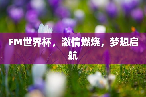 FM世界杯，激情燃烧，梦想启航