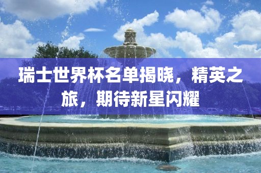 瑞士世界杯名单揭晓，精英之旅，洪湖市顺升工程机械租赁有限公司期待新星闪耀