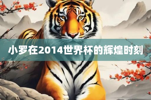 小罗在2014世界杯的辉煌时刻洪湖市顺升工程机械租赁有限公司