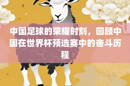 中国足球的荣耀时刻，回顾中国在世界杯预选赛中的奋斗历程