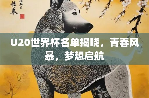 U20世界杯名单揭晓，青春风暴，梦想启航