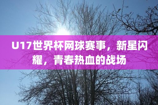 U17世界杯网球赛事，新星闪耀，青春热血的战场