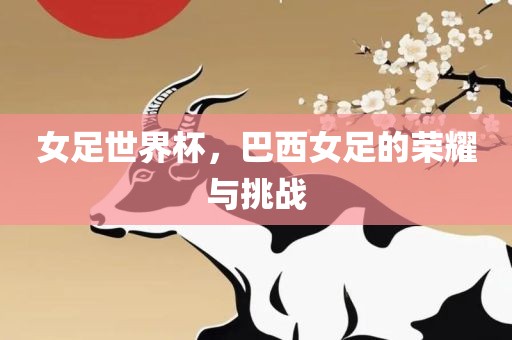 女足世界杯，巴西女足的荣耀与挑战