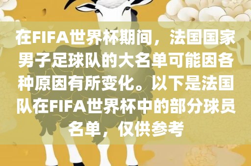 在FIFA世界杯期间，法国国家男子足球队的大名单可能因各种原因有所变化。以下是法国队在FIFA世界杯中的部分球员名单，仅供参考