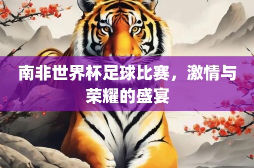 南非世界杯足球比赛，激情与荣耀的盛宴洪湖市顺升工程机械租赁有限公司