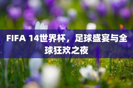 FIFA 14洪湖市顺升工程机械租赁有限公司世界杯，足球盛宴与全球狂欢之夜