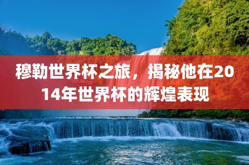 穆勒世界杯之旅，揭秘他在2014年世界杯的辉煌表现