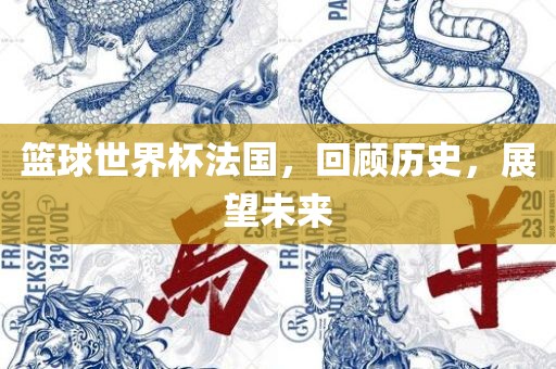 篮球世界杯法国，回顾历史，展望未来