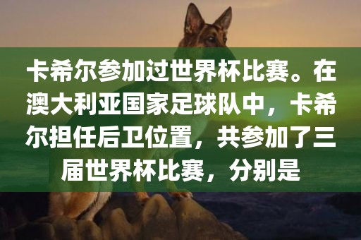 卡希尔参加过世界杯比赛。在澳大利亚国家足球队中，卡希尔担任后卫位置，共参加了三届世界杯比赛，分别是洪湖市顺升工程机械租赁有限公司