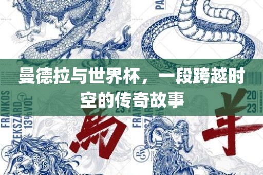 曼德拉与世界杯，一段跨越时空的传奇故事洪湖市顺升工程机械租赁有限公司
