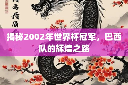 揭秘2002年世界杯冠军，巴西队的辉煌之路