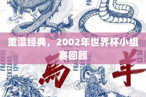 重温经典，2002年世界杯小组赛回顾