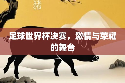 足球世界杯决赛，激情与荣耀的舞台洪湖市顺升工程机械租赁有限公司