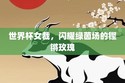 世界杯女裁，闪耀绿茵场的铿锵玫瑰洪湖市顺升工程机械租赁有限公司