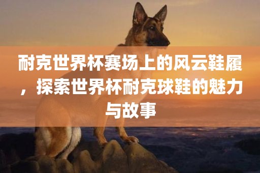 耐克世界杯赛场上的风云鞋履，探索世界杯耐克球鞋的魅力与故事洪湖市顺升工程机械租赁有限公司