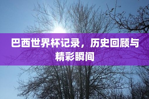 巴西世界杯记录，历史回顾与精彩瞬间