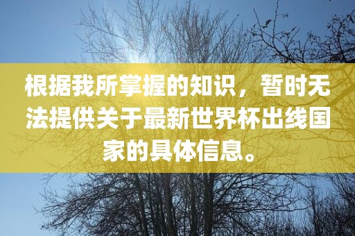 根据我所掌握的知识，暂时无法提供关于最新世界杯出线国家的具体信息。洪湖市顺升工程机械租赁有限公司