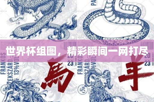 世界杯组图，精彩瞬间一网打尽