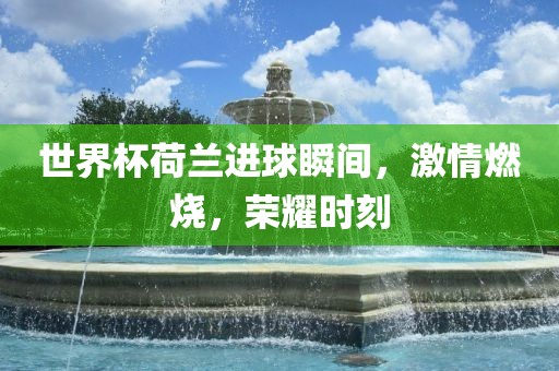 世界杯荷兰进球瞬间，激情燃烧，荣耀时刻