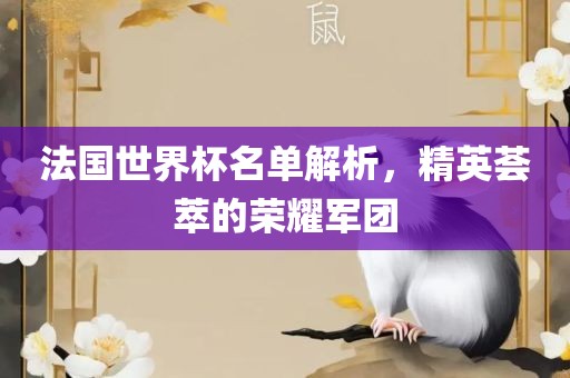 法国世界杯名单解析，精英荟萃的荣耀军团