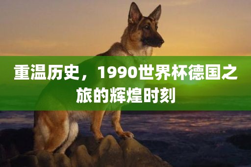 重温历史，1990世界杯德国之旅的辉煌时刻洪湖市顺升工程机械租赁有限公司