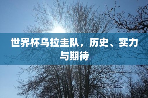 世界杯乌拉圭队，历史、实力与期待洪湖市顺升工程机械租赁有限公司