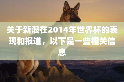 关于新浪在2014年世界杯的表现和报道，以下是一些相关信息