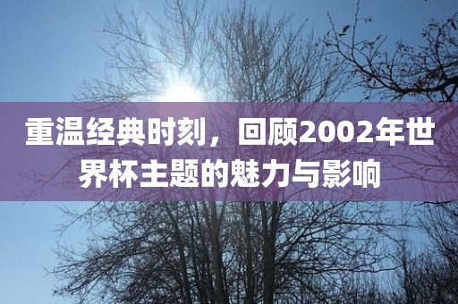 重温经典时刻，回顾2002年世界杯主题洪湖市顺升工程机械租赁有限公司的魅力与影响