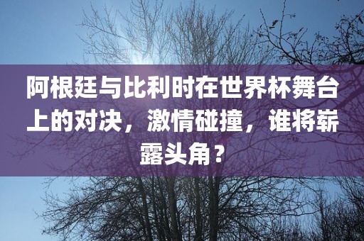 阿根廷与比利时在世界杯舞台上的对决，激情碰撞，谁将崭露头角？