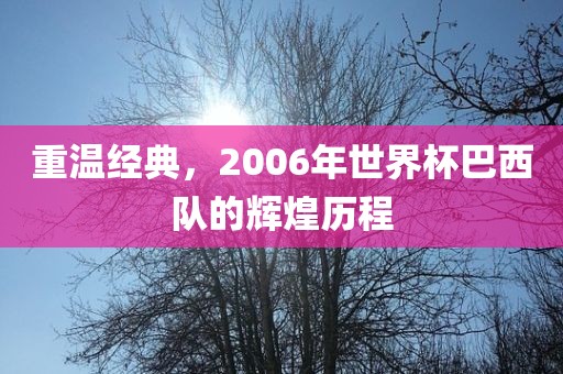 重温经典，2006年世界杯巴西队的辉煌历程