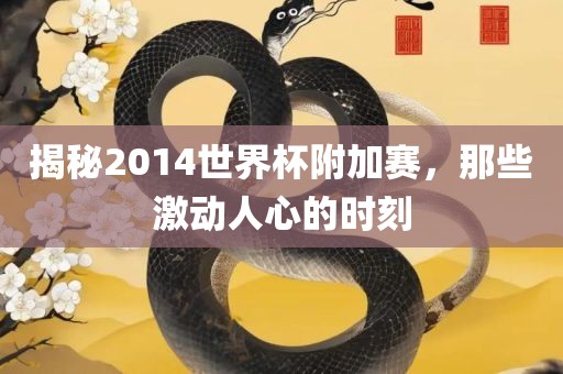 揭秘2014世界杯附加赛，那些激动人心的时刻