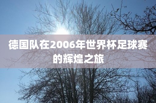 德国队在2006年世界杯足球赛的辉煌之旅