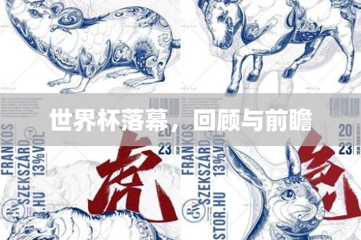 世界杯落幕，回顾与前瞻