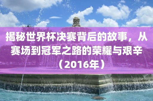 揭秘世界杯决赛背后的故事，从赛场到冠军之路的荣耀与艰辛（2016年）