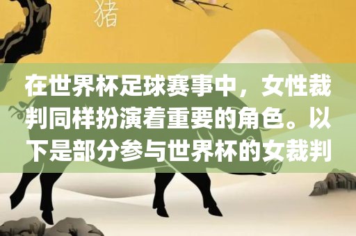 在世界杯足球赛事中，女性裁判同样扮演着重要的角色。以下是部分参与世界杯的女裁判