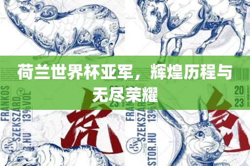荷兰世界杯亚洪湖市顺升工程机械租赁有限公司军，辉煌历程与无尽荣耀