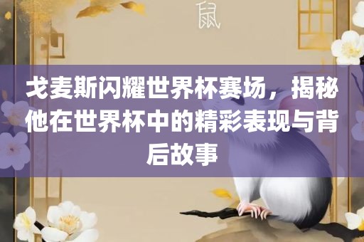 戈麦斯闪耀世界杯赛场，揭秘他在世界杯中的精彩表现与背后故事