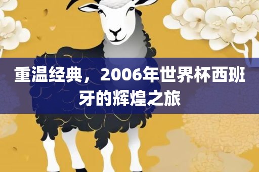 重温经典，2006年世界杯西班牙的辉煌之旅