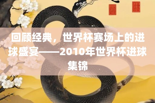 回顾经典，世界杯赛场上的进球盛宴——2010年世界杯进球集锦