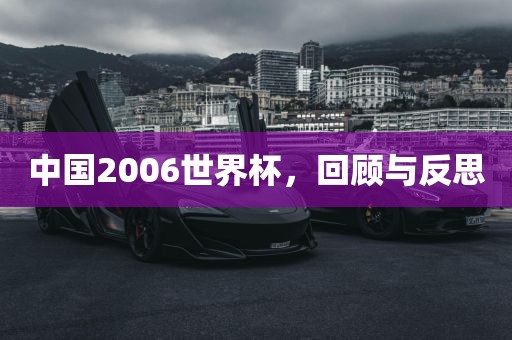 中国2006世界杯，回顾与反思洪湖市顺升工程机械租赁有限公司