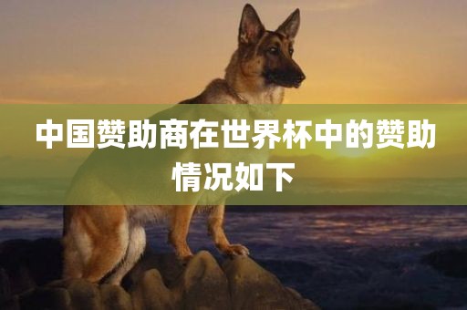 中国赞助商在世界杯中的赞助洪湖市顺升工程机械租赁有限公司情况如下