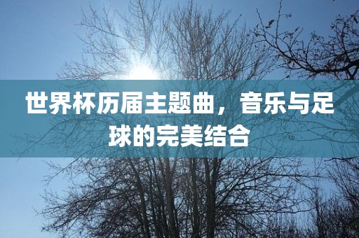 世界杯历届主题曲，音乐与足球的完美结合