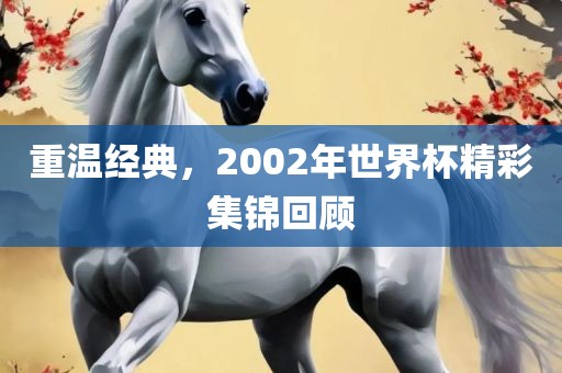 重温经典，2002年世界杯精彩集锦回顾